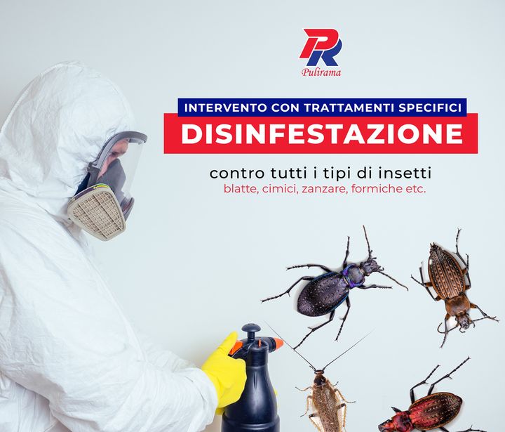 Servizio disinfestazione contro tutti i tipi di insetti grazie all'utilizzo di trattamenti specifici!🖐