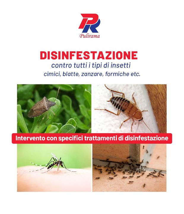 Con Pulirama ➡ Servizio #disinfestazione contro tutti i tipi di insetti!🖐🧴🧻🚿🧽